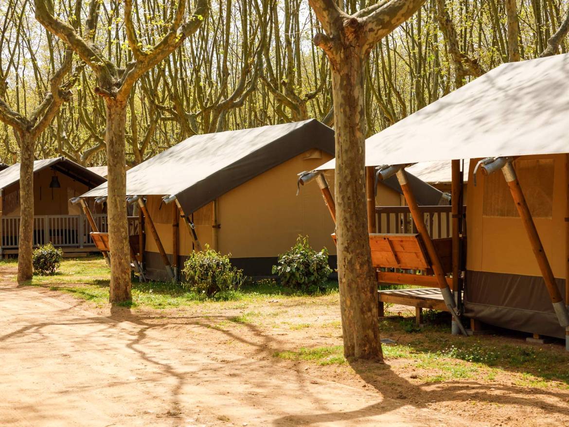 Kenia Lodge Tent 16 m² without bathroom: Lodge tents beside a tree-lined path